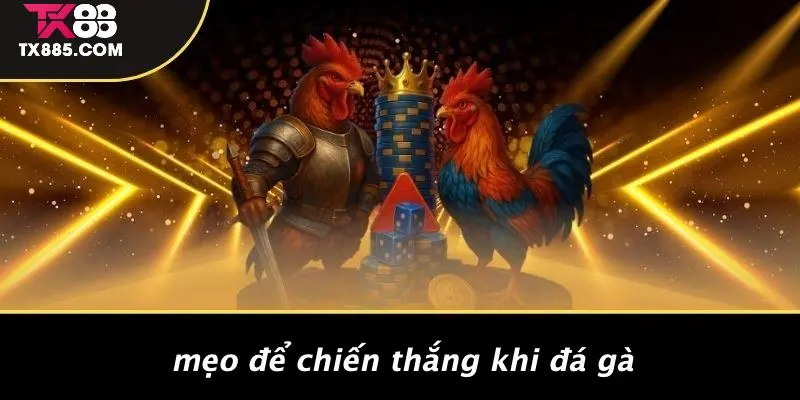 Đá Gà TX88: Khám Phá Thế Giới Đá Gà Đỉnh Cao Tại Casino 3 Mẹo Để Chiến Thắng Khi Đá Gà