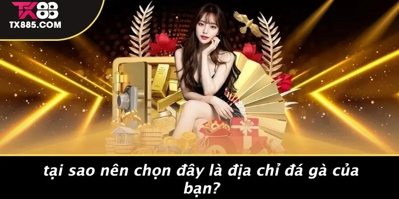 Đá Gà TX88: Khám Phá Thế Giới Đá Gà Đỉnh Cao Tại Casino 5 Tại Sao Nên Chọn Đây Là Địa Chỉ Đá Gà Của Bạn?